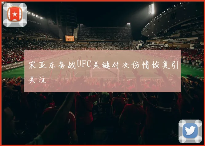 宋亚东备战UFC关键对决伤情恢复引关注