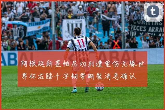 阿根廷新星帕尼切利遭重伤无缘世界杯右膝十字韧带断裂消息确认